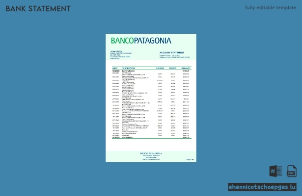 Beispiel eines Kontoauszugs der Banco Patagonia Argentiniens (Vorschau)